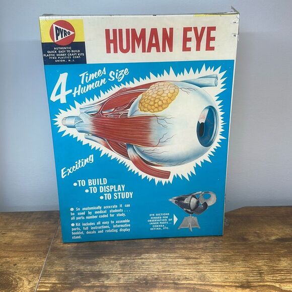 NEW Vintage Pyro HUMAN EYE Model Kit 4X Normal Size Plastic Model Kit S 371-300 - Picture 1 of 6